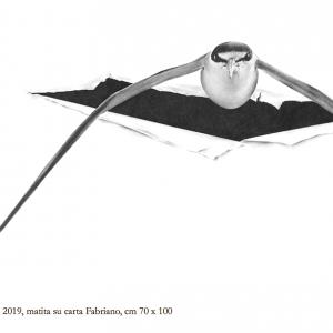 Massimiliano Galliani. Attraverso