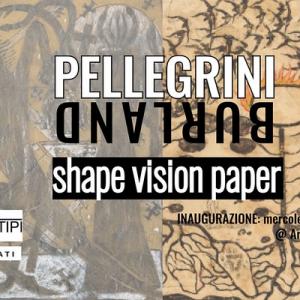 PELLEGRINI / BURLAND: Shape Vision Paper.