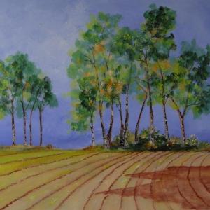 LUCI, COLORI ED EMOZIONI