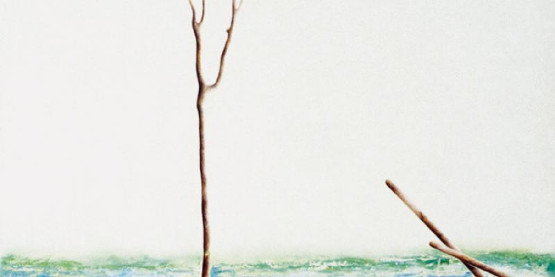 "Racconti di mare" rassegna di pittura al Museo della Marineria di Viareggio "Racconti di mare" rassegna di pittura al Museo della Marineria di Viareggio