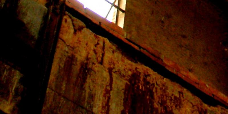 Intervista alla realtà