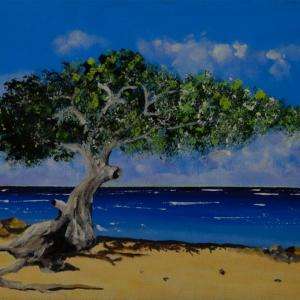 LUCI, COLORI ED EMOZIONI