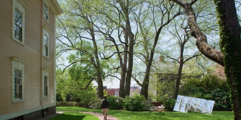 Dennis McNulty | Windshield (2011) Dennis McNulty | Windshield (2011)