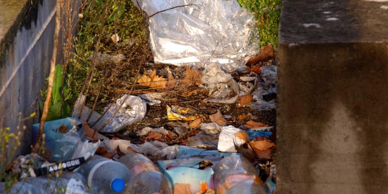 La natura....... un bene prezioso da difendere La natura....... un bene prezioso da difendere