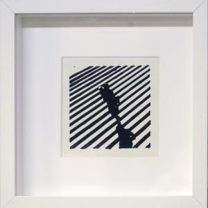 FOTO-GRAFICA AL CLUB MERIDIANA