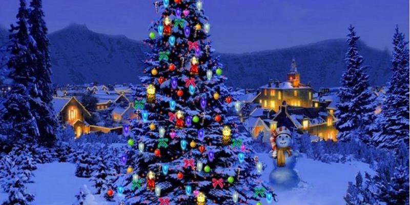 Mostra Natalizia 2013