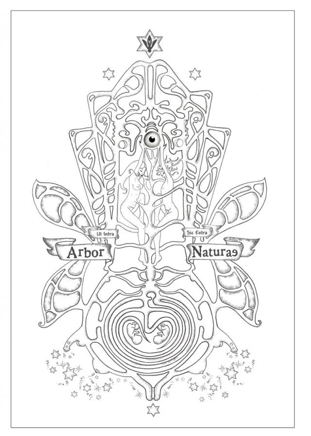 Sexual Tree of Nature 