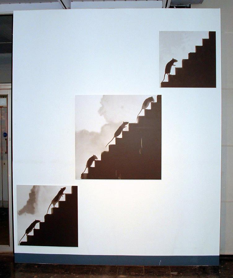 Rat steps no.3, 4 & 5 Rat steps no.3, 4 & 5