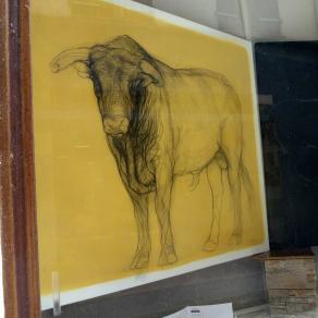 Un taureau à Céret !