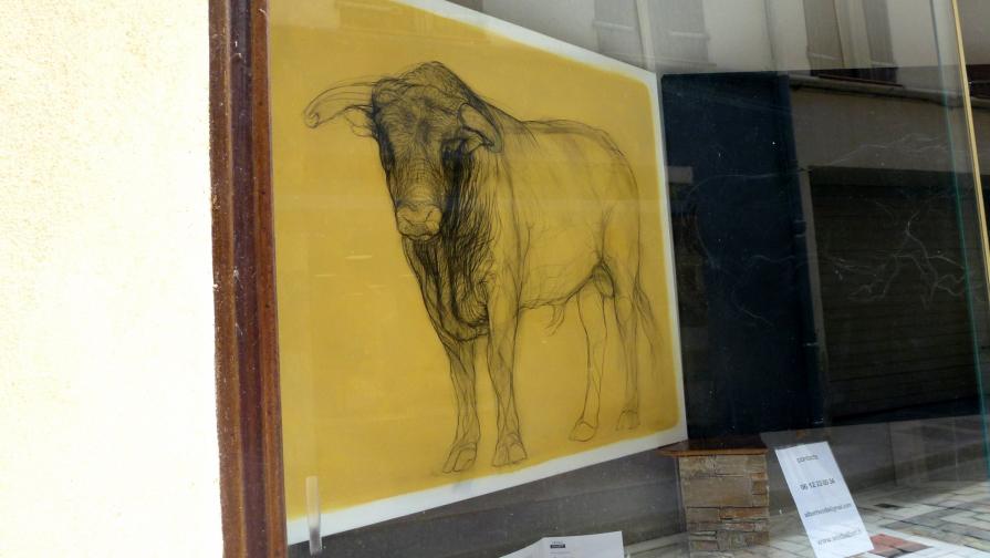 Un taureau à Céret !
