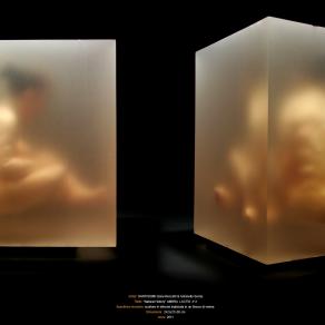 Natural History AMBRA LACTIS n°2