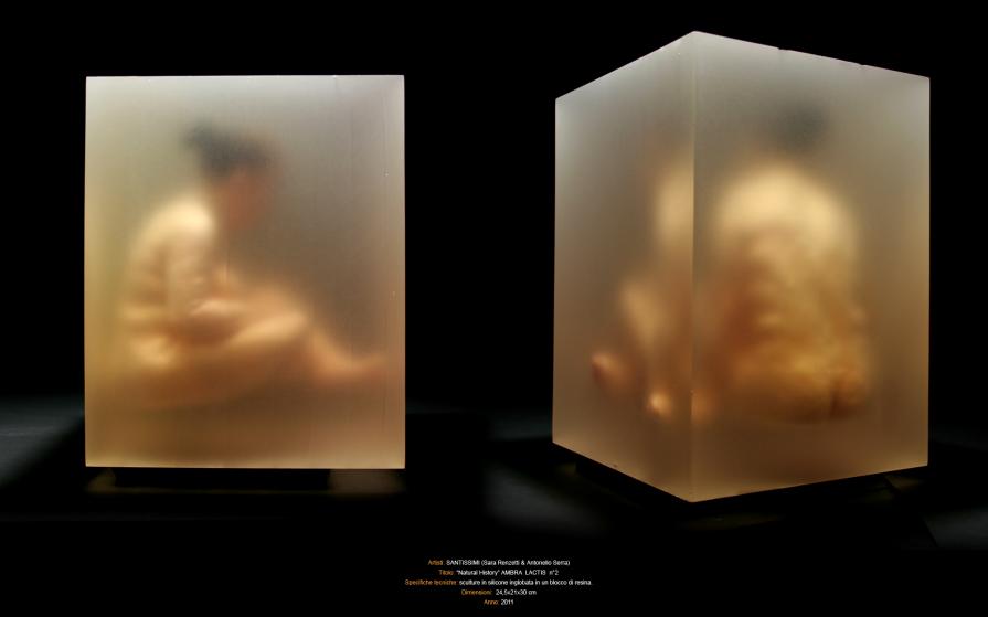 Natural History AMBRA LACTIS n°2