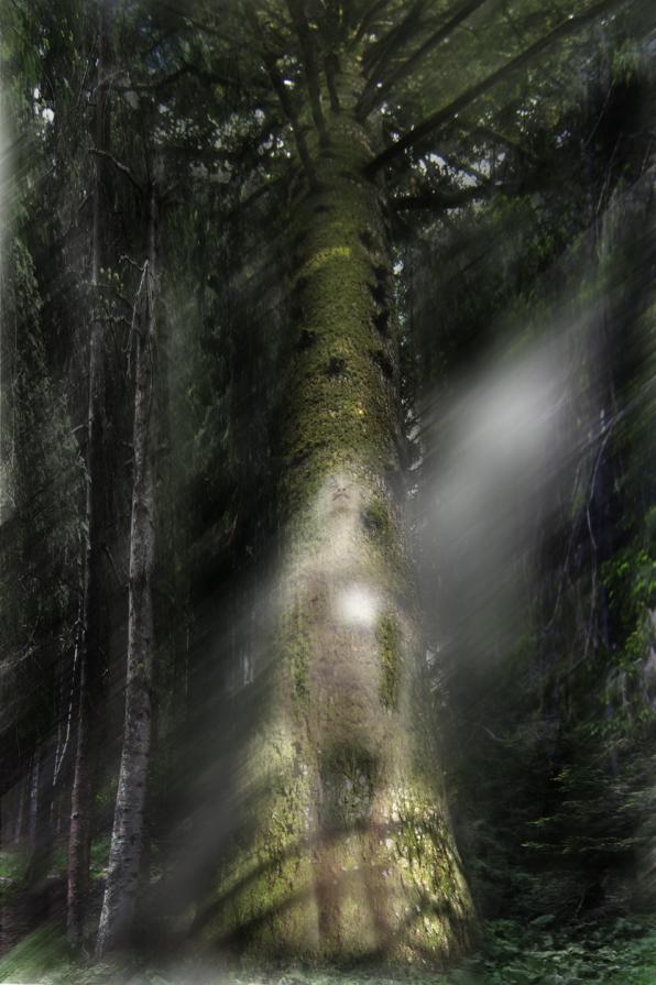 Il sentiero dei Giganti..