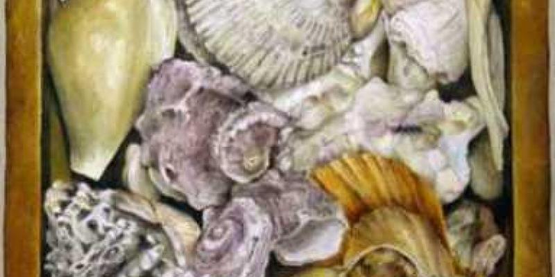 DEAR GIORGIO... DEAR GIORGIO...