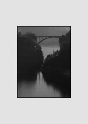 istinto e controllo 1