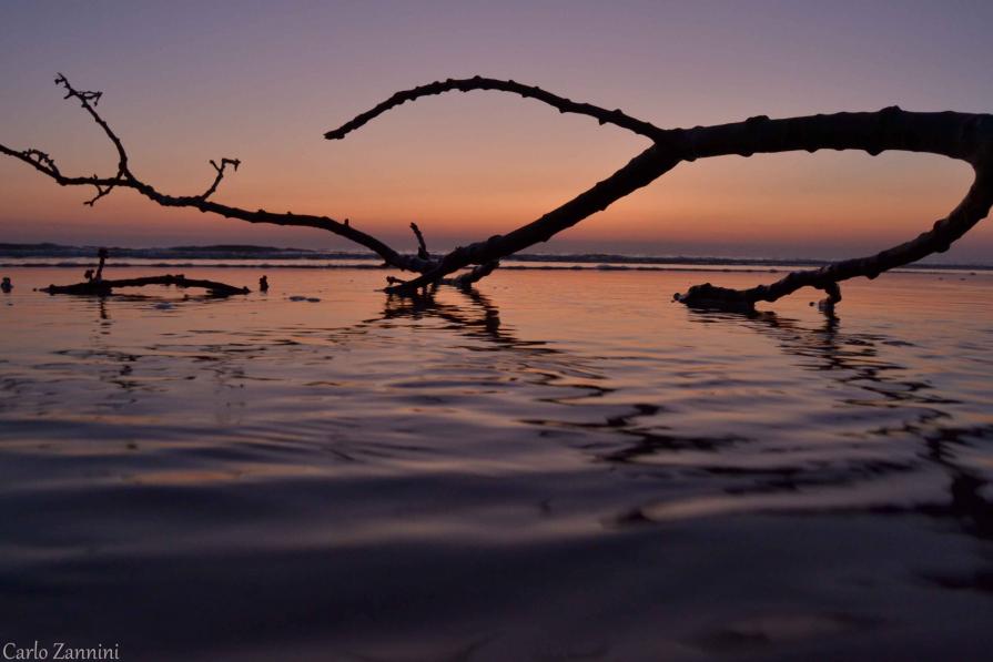 OLTRE LA LINEA DI CONFINE