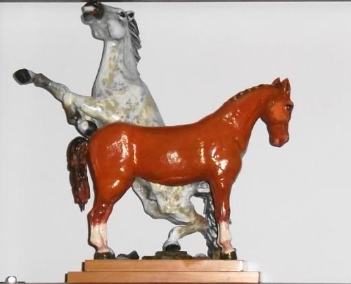 Cavalli liberi senza sella