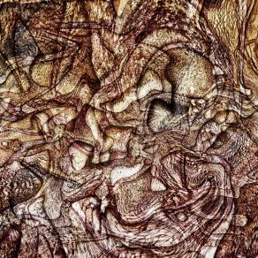 Il labirinto dell'ultimo sopravvissuto 