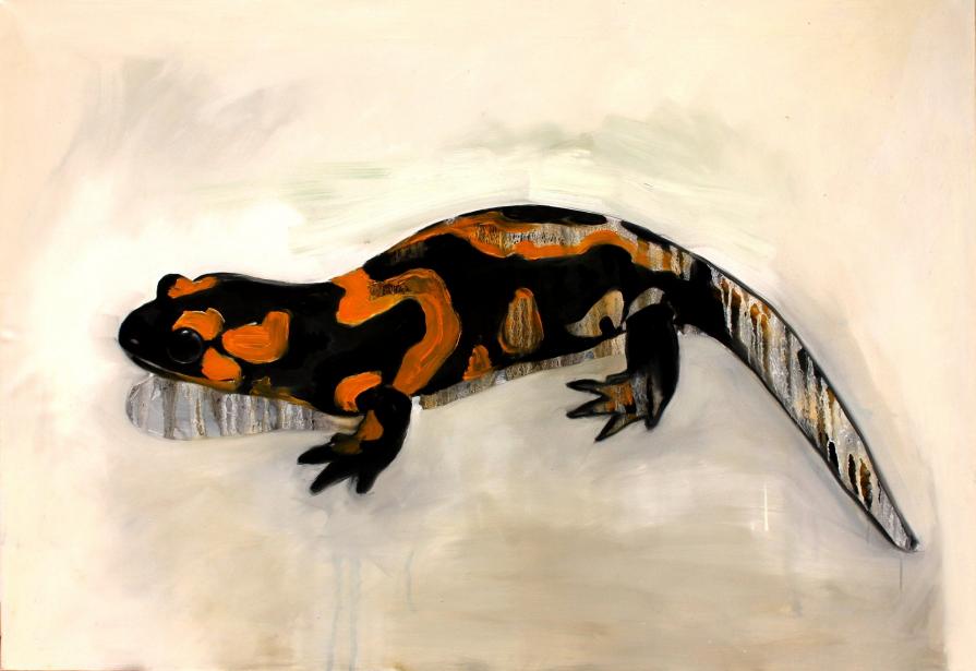 Salamandra 