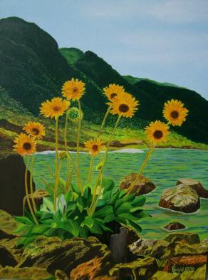 LG 0175 - Uno scorcio di Calvi - Corsica