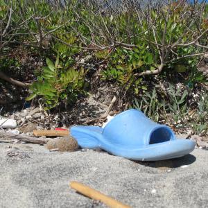 IO CAMMINO TRA LE NUVOLE IO CAMMINO TRA LE NUVOLE