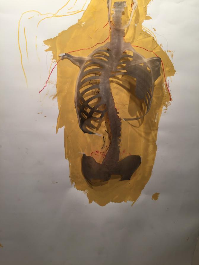 blind contour spine drawing with x- ray