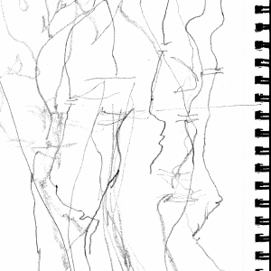 tactile drawing of my spine tactile drawing of my spine