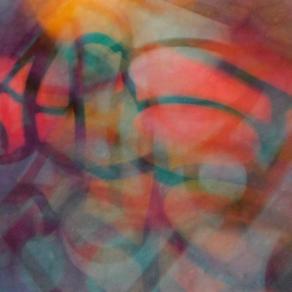 I COLORI DELLA BIODIVERSITÀ