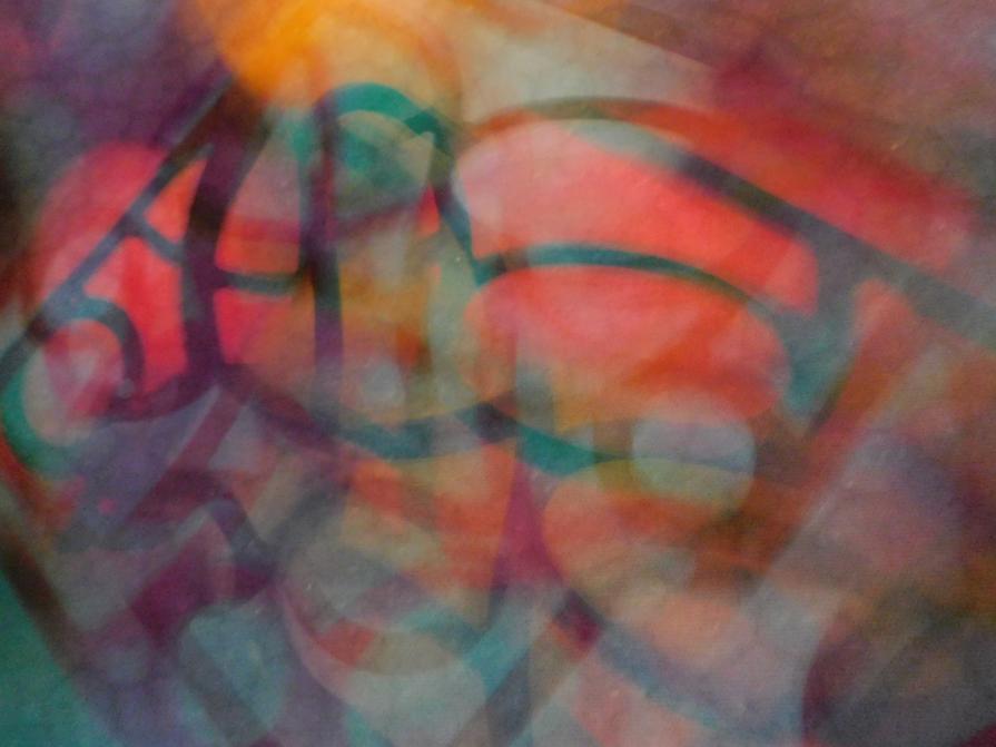 I COLORI DELLA BIODIVERSITÀ