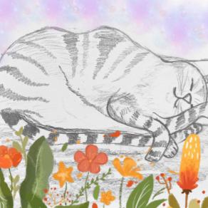 ...I gatti occupano gli angoli vuoti...