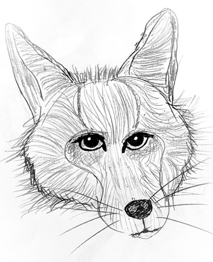 “Nel silenzio si nascondono le verità più profonde.”