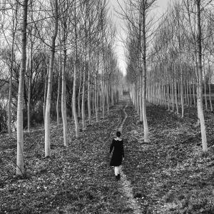 Little Human Artworks