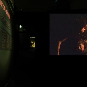 ROBERTA CONI-TENTAR LA CARNE inferno I