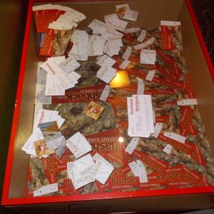 IMPORTANTE per la promozione dell' Arte, IMPORTANTE per la promozione dell' Arte,