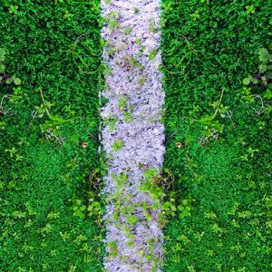 GLOBALART  GALLERIA D’ARTE CONTEMPORANEA  Presenta la personale  IL MIO FILTRO ANIMICO 