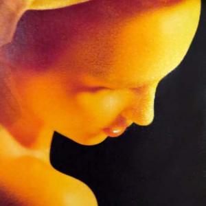 TRA REALISMO E IPERREALISMO al CLUB LA MERIDIANA DI MODENA