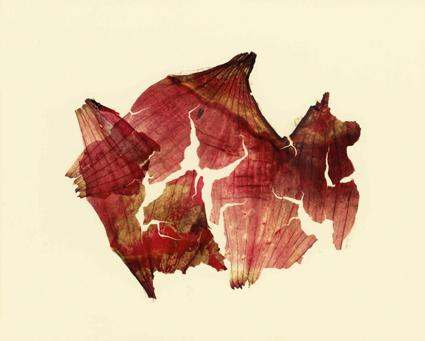 Sconfinamenti. Vintage ed Unicum di Nino Migliori