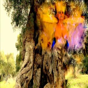 "Potentia divina gratia In Urlo d’Ulivo”di Rosa Didonna "Potentia divina gratia In Urlo d’Ulivo”di Rosa Didonna