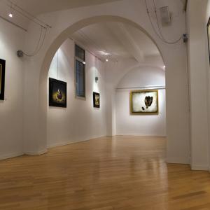 Mostra personale di Ciro Palumbo Nuove terre e nuovi mari 