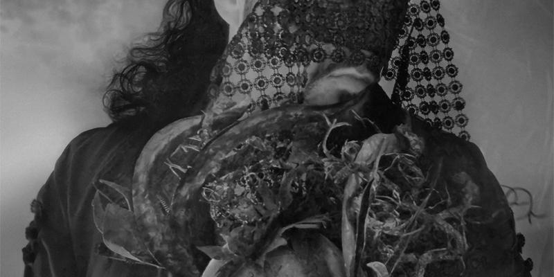 Artistcloseup Interview Adamo Macri