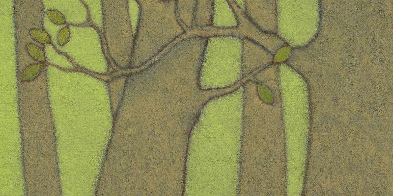 "Back to Nature": rassegna di pittura alla Saletta Corte dell'Angelo di Lucca "Back to Nature": rassegna di pittura alla Saletta Corte dell'Angelo di Lucca