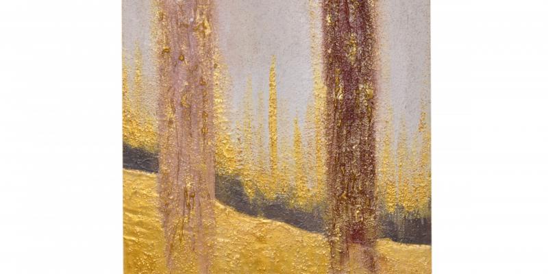 BIENNALE  D'ARTE CONTEMPORANEA   ALATRI 