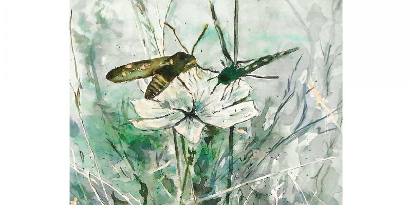 SENTIERI - Personale di PAOLA BARDI