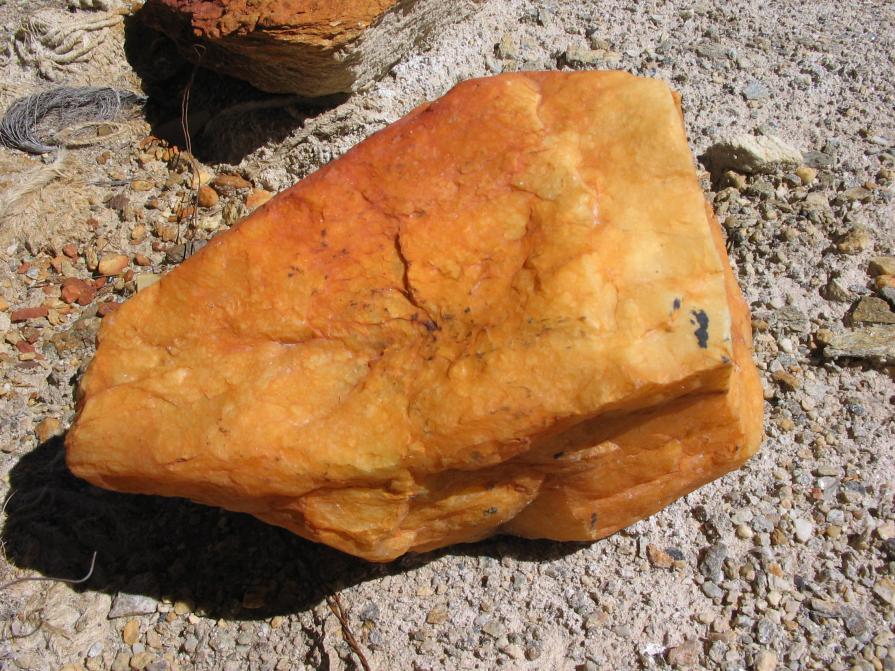 "Sottopelle # 14" Ldk05