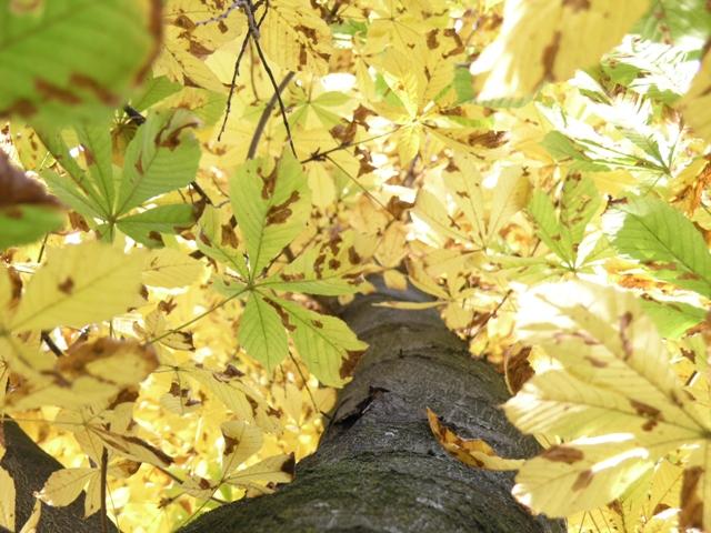 Invito alla sorpresa