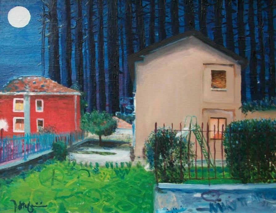 Una foresta dietro le case.. - o: Scivolo nel giardino