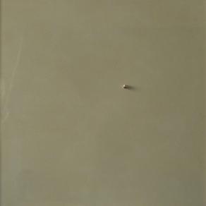 Quello che rimane di noi nelle persone con le quali abbiamo incrociato lo sguardo per un attimo.