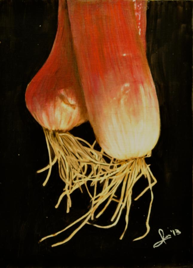 Allium Cepa Allium Cepa