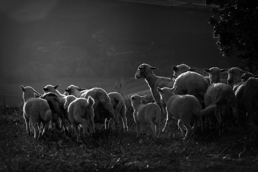 ...è tempo di migrare