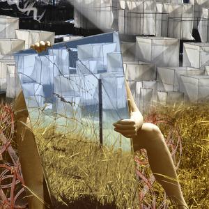 Fields of Consciousness Fields of Consciousness